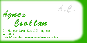 agnes csollan business card